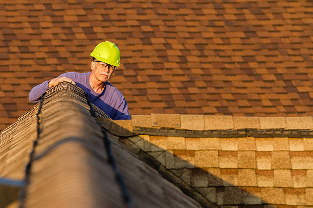 Best Flat Roof Repair Services  in Rock Rapids, IA